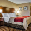 Отель Comfort Inn Joliet, фото 3