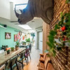 Отель BareFoodGIULIA, фото 12