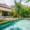 Отель Villa Tirtha Amertha Ubud, фото 10