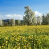 Отель Landgasthof Seelust, фото 28