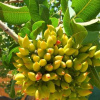 Отель Rastoni, фото 20