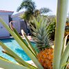 Отель Island Sun Villa, фото 26