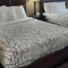 Отель Parkwood Inn & Suites, фото 7