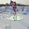 Отель Essentia Hotel Dona Paula Goa, фото 13
