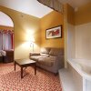 Отель Best Western Plus Bradenton Hotel & Suites, фото 13