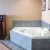 Отель Comfort Inn & Suites, фото 8
