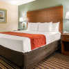 Отель Comfort Inn & Suites Crabtree Valley, фото 19