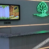 Отель Young Tree Hotel, фото 16