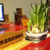 Отель Xiaolazhe Hotel, фото 2
