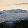 Отель Amboseli Eco Camp, фото 26