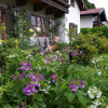 Отель Ferienwohnung Haus Alpenrebe, фото 6