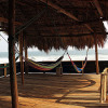 Отель Palapa Cabin´s, фото 6