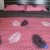 Отель Harbin Breeze Homestay, фото 5