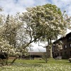 Отель Munkebjerg Hotel, фото 34