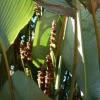 Отель Jhazmin Aeropuerto, фото 6