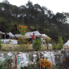Отель Camp Nirvana Yamunotri, фото 5