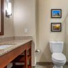 Отель Comfort Inn & Suites, фото 38