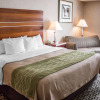 Отель Quality Inn, фото 5