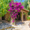 Отель CAS CONCO - Traditional Majorcan house with private pool and luxuriant garden. Free WiFi, фото 38