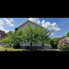 Отель Elianitas Bed & Breakfast, фото 7