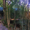 Отель Phophonyane Falls Ecolodge в Пиггс-Пик