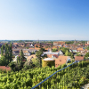 Отель Château d'Isenbourg, фото 18