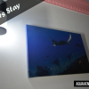Отель Aquaventure Manta Lodge - Scuba Divers, фото 2