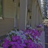 Отель Shasta Pines Motel & Suites, фото 8