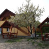 Отель Pensiunea Gaby, фото 20