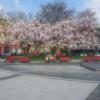 Отель Apartment Belvedere, фото 1