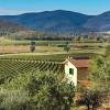 Отель Poggiolivi Agriturismo Bio in Maremma, фото 10