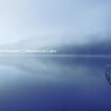 Отель Alvin & Juliet's Vacation Home, фото 8