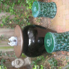 Отель The Mermaids' Porch Bed and Breakfast, фото 2