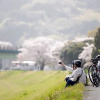 Отель Kona Stay Bicycle Resort, фото 16