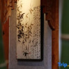 Отель Mengqianting Homestay, фото 9