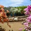 Отель FonteinZen - Home with big garden at Fontein, фото 16