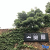 Отель Mofei Homestay, фото 1