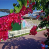 Отель Tingyu Homestay, фото 6