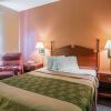 Отель Econo Lodge Inn & Suites, фото 6