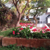Отель Vimal Holidays Resort, фото 24