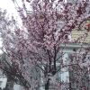 Отель Glory Guest House в Монктоне