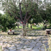 Отель Buket Cave Hotel, фото 6