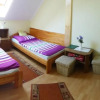 Отель Janika Pension, фото 3