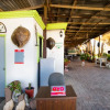 Отель Magueyaso, фото 15