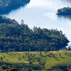 Отель Munnar Dreams, фото 9