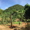 Отель Villa Kep Resort - Adults Only, фото 13