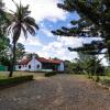 Отель Eldopalm Guesthouse, фото 1