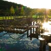 Отель Sunrise Awaji, фото 17