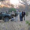 Отель Thornybush Game Lodge, фото 12