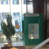 Отель Holiday Inn Wuyuan Huazhong, фото 7